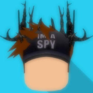 Meet your Posher, Loganlaurenprodude- adopt me